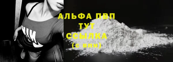 гидра Абаза