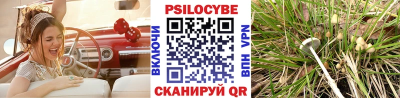 Галлюциногенные грибы Psilocybine cubensis Горбатов